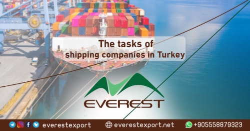 The tasks of shipping companies in Turkey